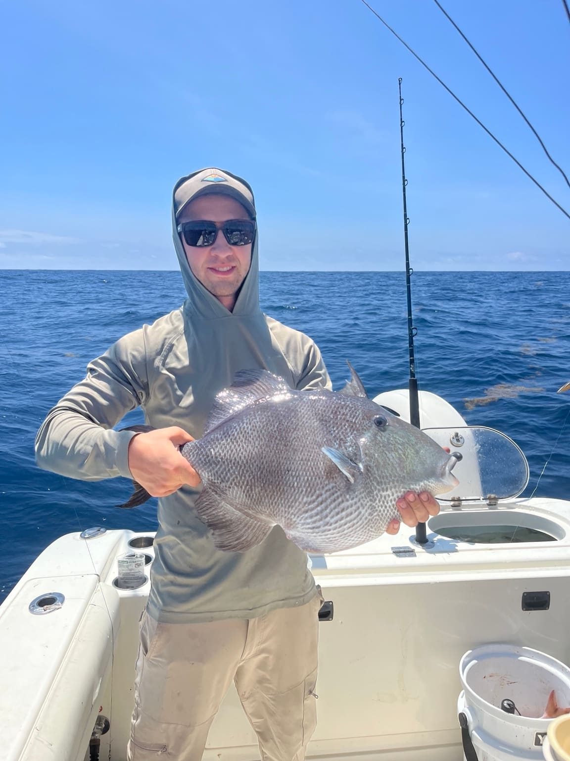 A gray triggerfish caught over structure offshore of Hilton Head Island